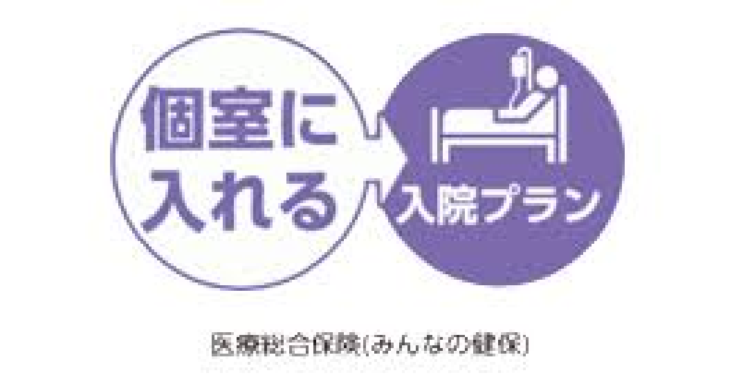 AIG損害保険株式会社